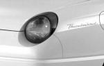 Ford Thunderbird 2002 года